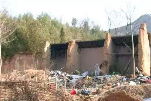 罪爱杨锁在线观看,一场禁忌之恋的悲歌